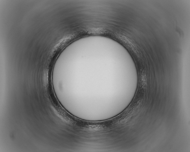 X0000112960686200909171258