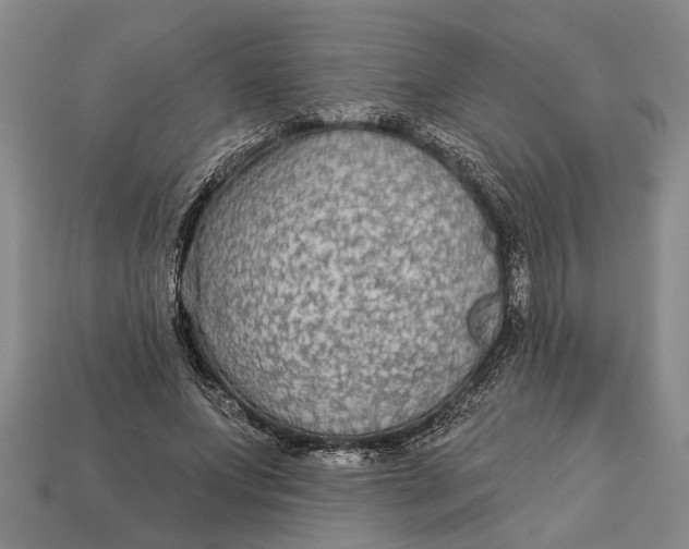 X0000112960687200909171258