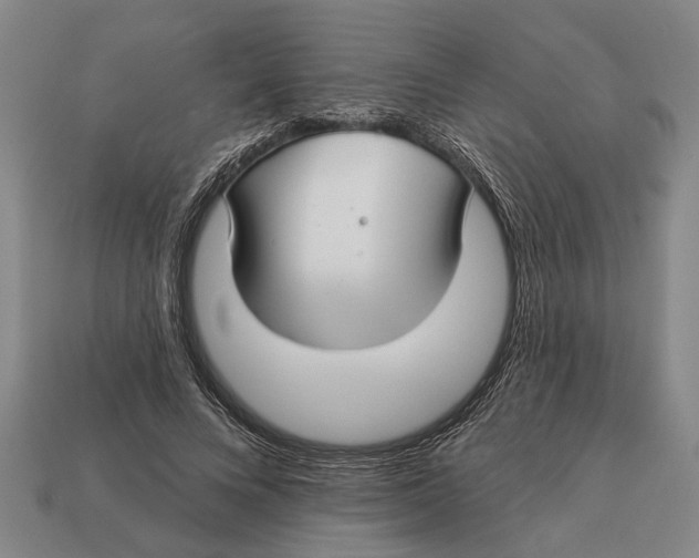 X0000112960688200909171258