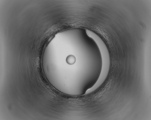 X0000112960689200909171258