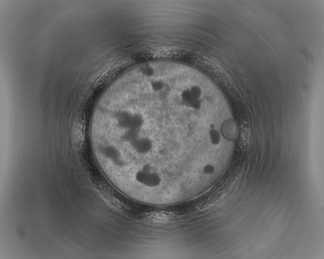 X0000112960691200909171258