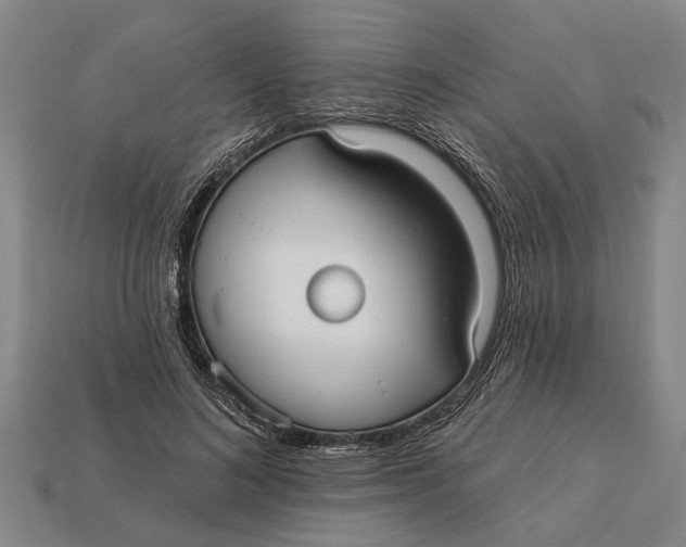 X0000112960692200909171258