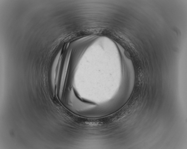 X0000112960693200909171258