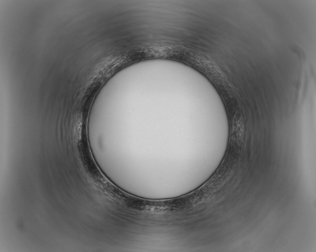 X0000112960694200909171258