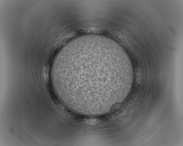 X0000112960695200909171258