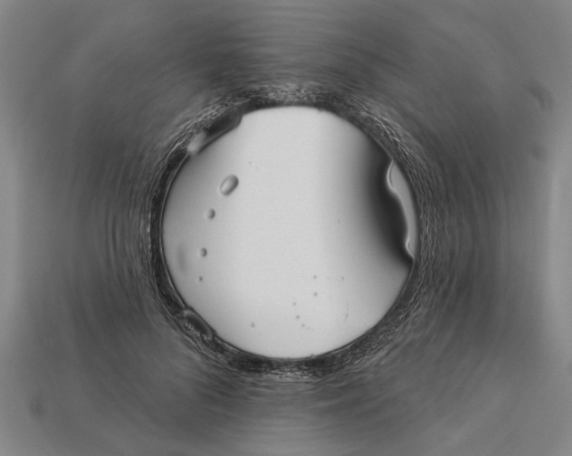 X0000112960696200909171258