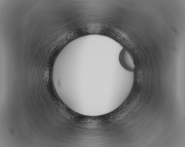 X0000112960697200909171258