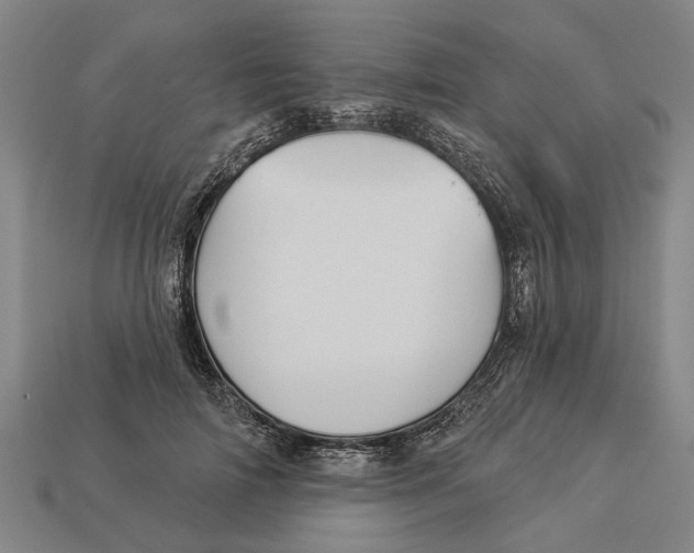 X0000112960698200909171258