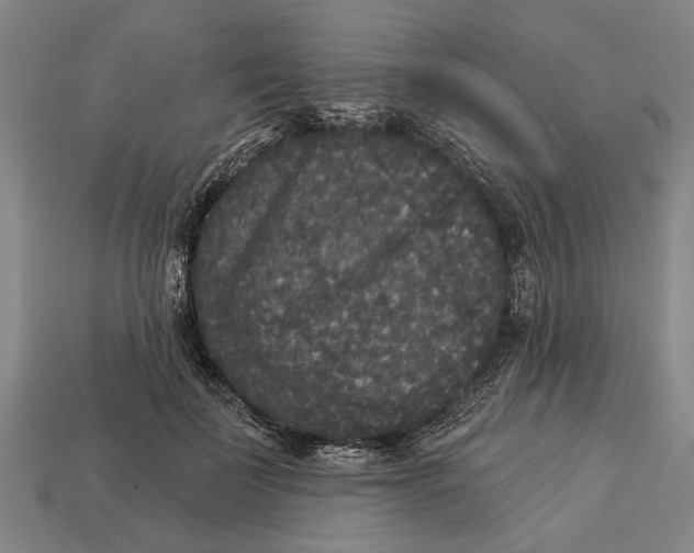 X0000112960699200909171258