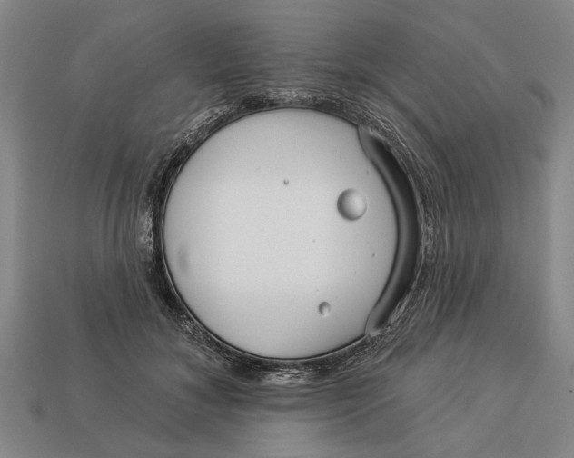 X0000112960700200909171258