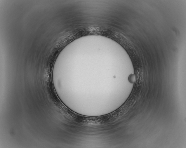 X0000112960702200909171258