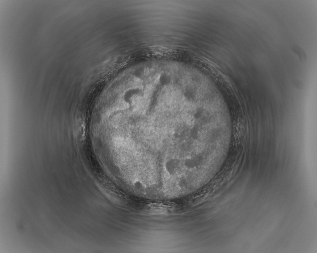 X0000112960703200909171258