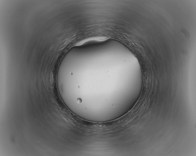 X0000112960704200909171258