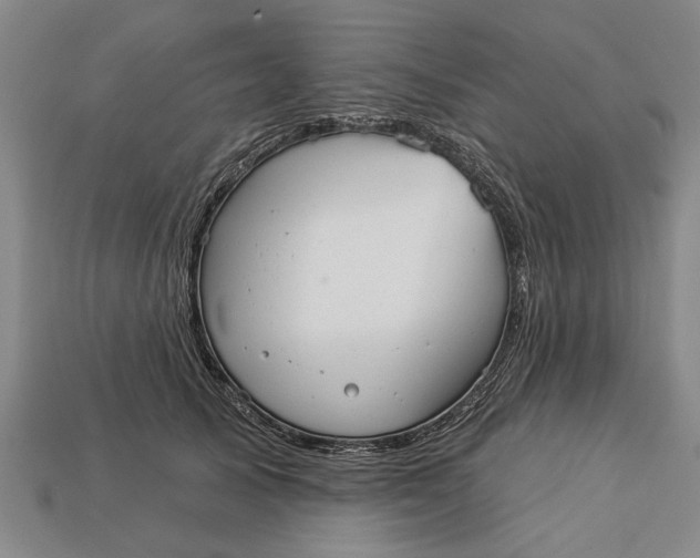 X0000112960705200909171258