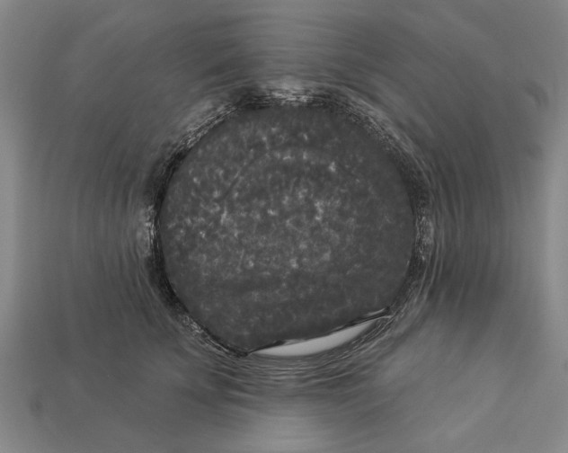 X0000112960707200909171258