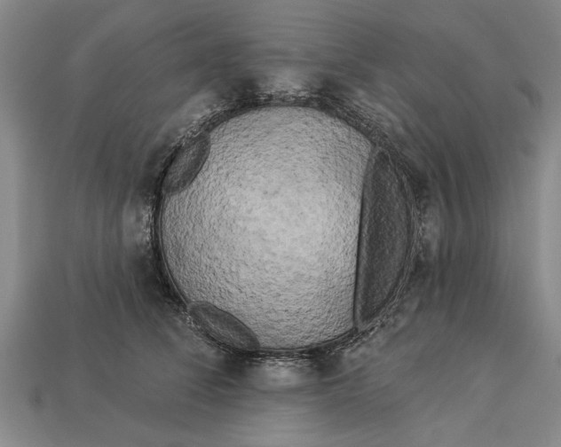 X0000112960708200909171258