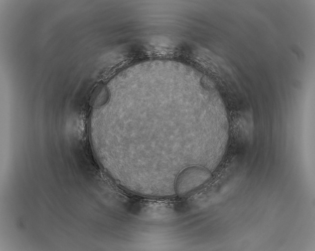 X0000112960709200909171258