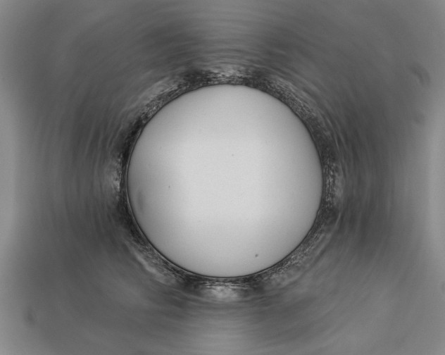 X0000112960710200909171258