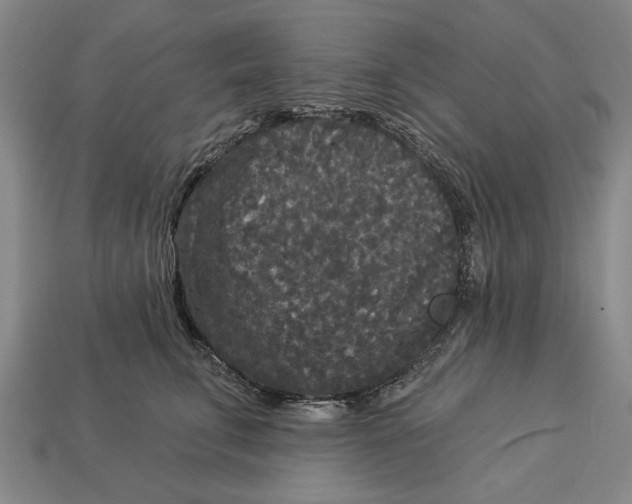 X0000112960711200909171258