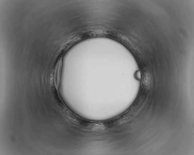 X0000112960715200909171258