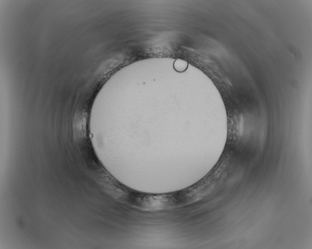 X0000112960717200909171258