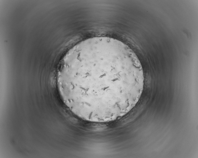 X0000112960719200909171258