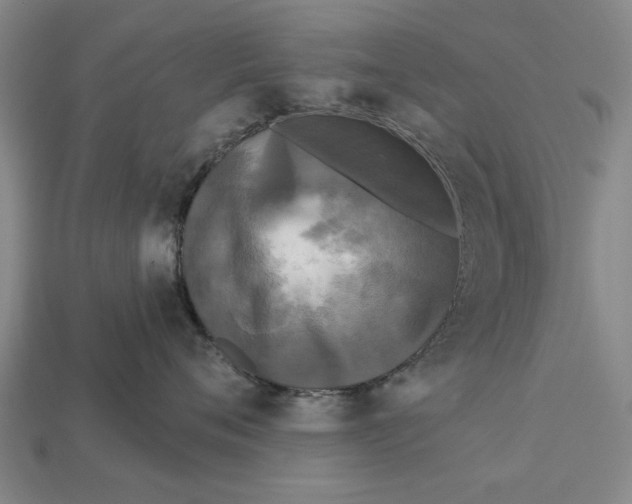 X0000112960720200909171258