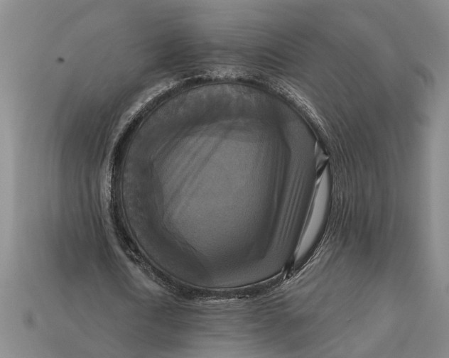 X0000112960722200909171257