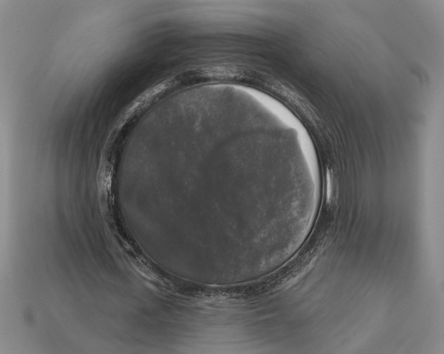 X0000112960723200909171257