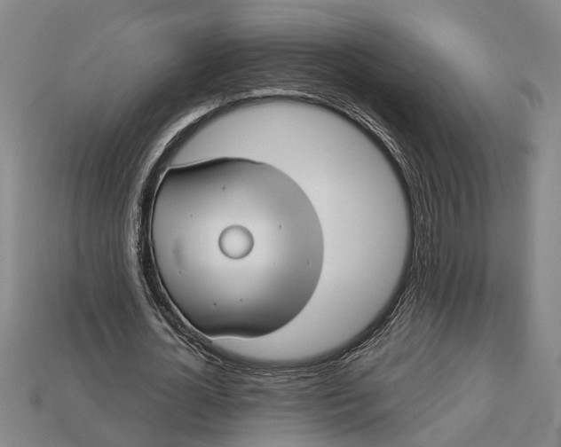 X0000112960724200909171257