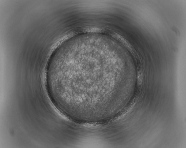 X0000112960725200909171257