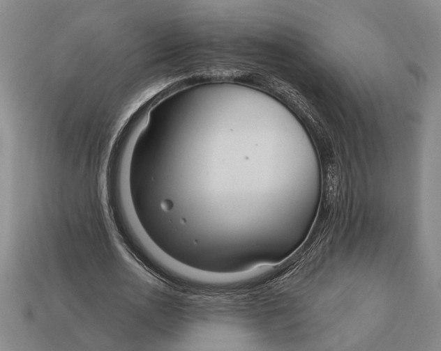 X0000112960726200909171257