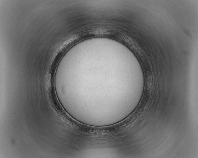 X0000112960727200909171257