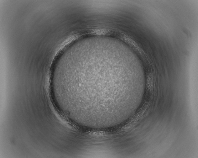 X0000112960730200909171257