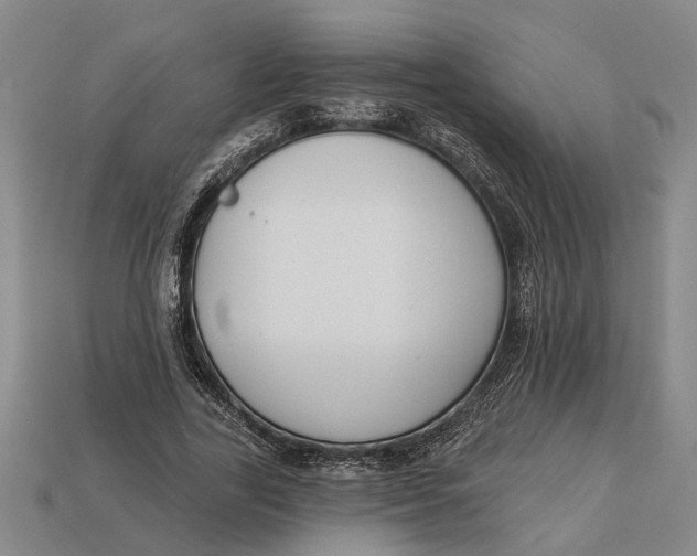 X0000112960731200909171257