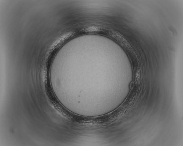 X0000112960732200909171257