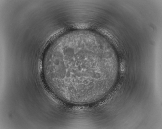 X0000112960733200909171257