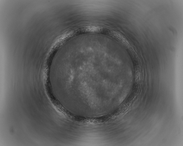 X0000112960736200909171257