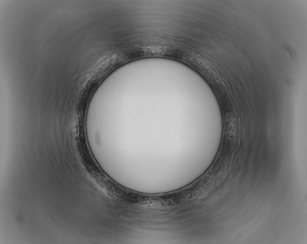 X0000112960738200909171257