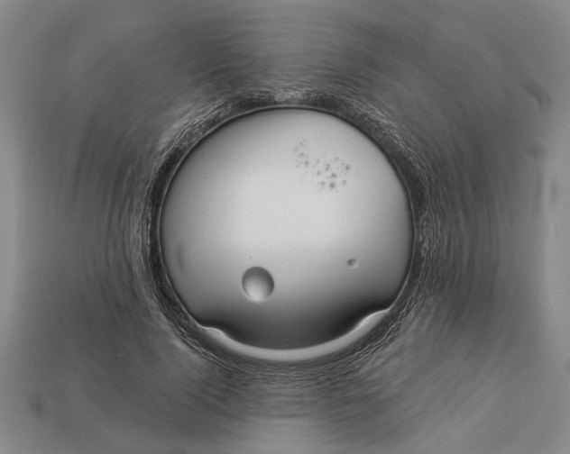 X0000112960740200909171257