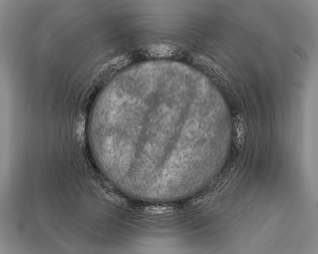 X0000112960745200909171257