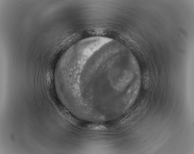 X0000112960747200909171257