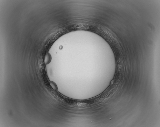 X0000112960748200909171257