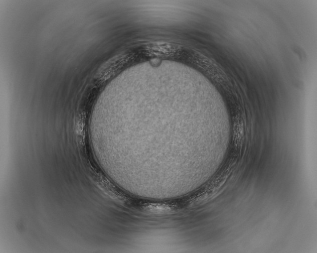 X0000112960749200909171257