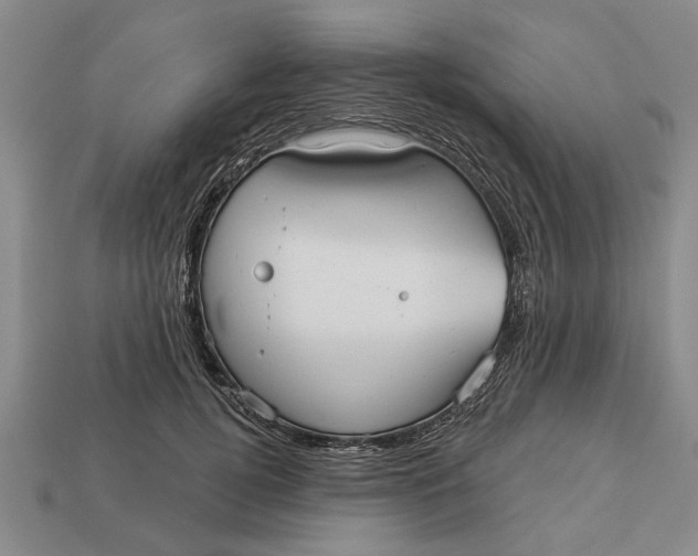 X0000112960752200909171257