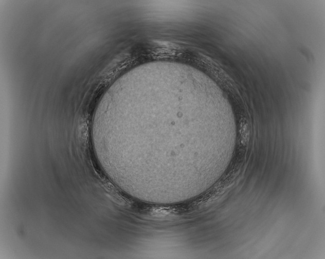 X0000112960753200909171257