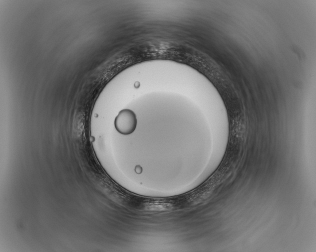 X0000112960754200909171257