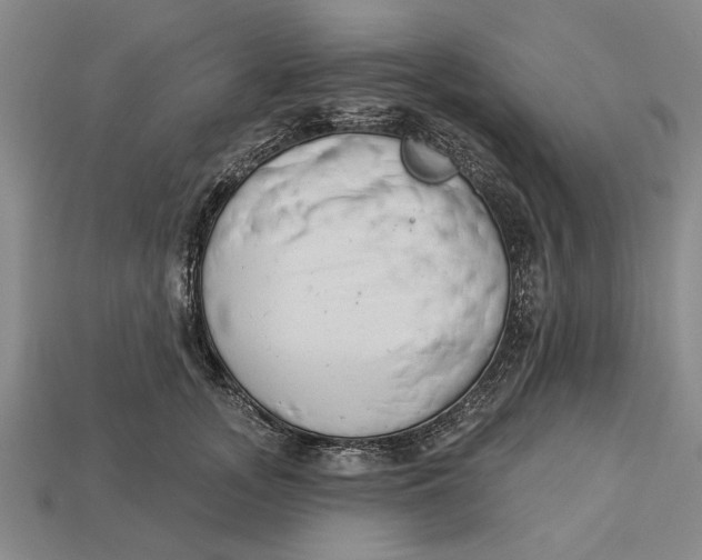 X0000112960755200909171257