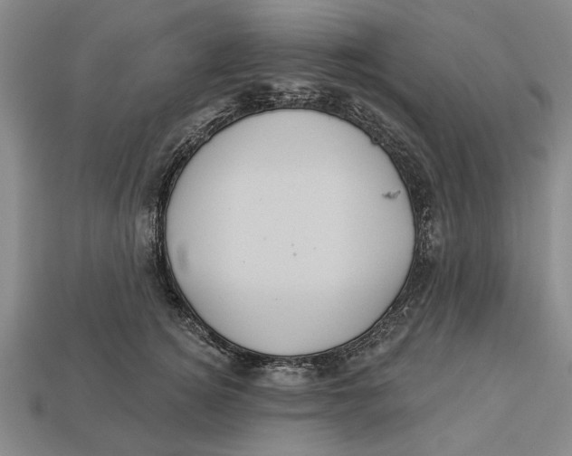 X0000112960756200909171257