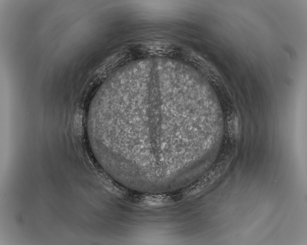 X0000112960757200909171257